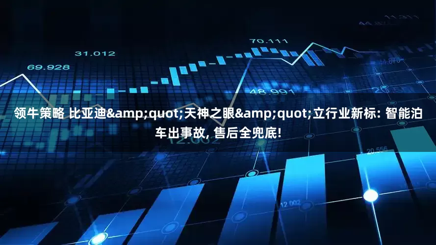 领牛策略 比亚迪&quot;天神之眼&quot;立行业新标: 智能泊车出事故, 售后全兜底!