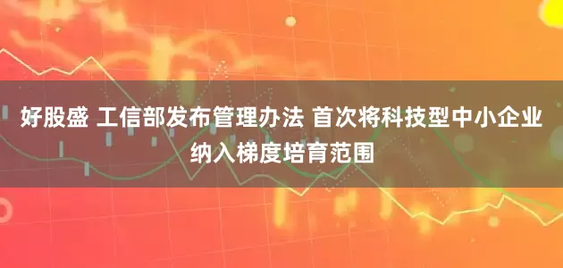 好股盛 工信部发布管理办法 首次将科技型中小企业纳入梯度培育范围